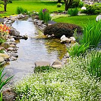 A kerti tó téliesítése. Hogyan készítsük fel a tavat a télre?