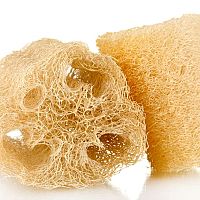 Természetes luffa szivacs nem csak mosogatáshoz. Vásárolja meg a magokat, hiszen termesztése egyszerű!