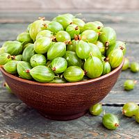 Hogyan termesszünk egrest?