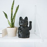 Hogyan gondozzuk a szobanövényeket télen - öntözés, hőmérséklet, fényigény