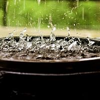 Az esővízgyűjtő tartállyal pénzt spórolhatnak. A feladatot egy hordó is megfelelően elláthatja.