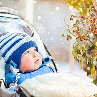 Hogyan válasszunk bundazsákot a babakocsiba és az autóba? A legjobbak a birka gyapjúból és bőrből készültek.