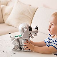 Hogyan válasszunk játékrobotot? Keresettek a irányítható állatkák és robotok