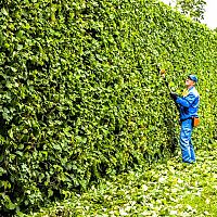 A legjobb akkumulátoros sövényvágók élő kerítésre. Tekintsék meg a véleményeket és a teszt eredményeit!