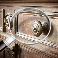 Mit tegyünk a fába vagy gerendába költözött szúval?