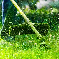 A legjobb fűkaszák - az értékelések és a teszt segítenek a választásban