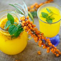 Homoktövis - gondozás, átültetés, szaporítás