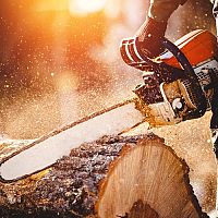 Elektromos és benzines láncfűrész. A legjobb a Husqvarna, a Hecht és a Stihl