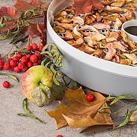 Legjobb gyümölcsaszalók. Kritika, sorrend, hogyan válasszunk