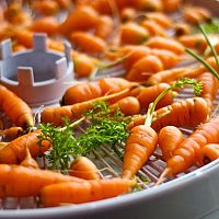 Hogyan szárítsunk gombát, gyümölcsöt vagy zöldséget?