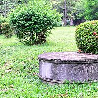 Baktériumok a szennyvízben - minden, amit tudni érdemes