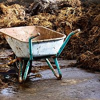 Hogyan trágyázzuk a kertet és a gyepet ősszel?