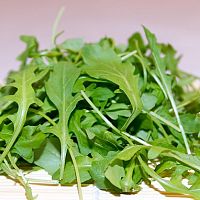 Hogyan termesszük és mikor szedjük a rukkolát?