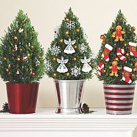 Hogyan gondozzuk a cserepes karácsonyfát?