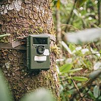 A legkelendőbb fotócsapda WiFi-vel, GSM-es SIM-kártyával? Tolvajok ellen és vadállatok megfigyelésére