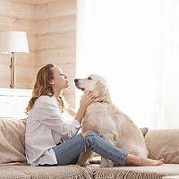 Hogyan készítsük fel otthonunkat a háziállattal való együttélésre?