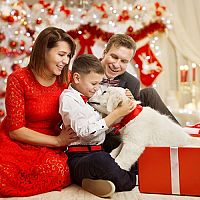 Kutyus karácsonyi ajándékként - jó ötlet?